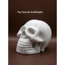 Canseb Elegance 10CM Kuru Kafa Heykeli - Dekoratif Obje Biblo