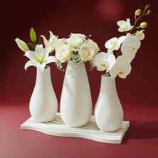 Canseb Elegance 4'lü Vazo Set - Ekonomik & Kaliteli Dekoratif Obje