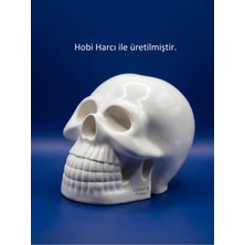 Canseb Elegance 10CM Kuru Kafa Heykeli - Dekoratif Obje Biblo
