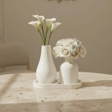 Canseb Elegance 3lü Modern Vazo ve Pampas Vazosu Seti Premium Set