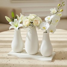 Canseb Elegance 4'lü Lüks Vazo Seti - Premium Set - Dekoratif Set - Pinterest - Bohem - Iskandinav Tarzı - Vazo - Dekoratif Vazo - Obje - Biblo - Heykel - Hediyelik - Dekor Obje