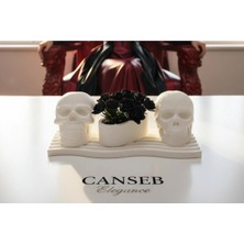 Canseb Elegance 4'lü Saksı & Kuru Kafalar Dekoratif Obje Seti - Rock Style - Gothic