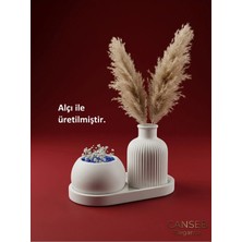 Canseb Elegance Üçlü Dekoratif Sukulent Saksı & Çizgili Pampas Vazosu Seti
