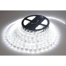 Cata 5 mt 10 Çipli Beyaz Işık Şerit LED 12 V Yüksek Parlaklık ve Enerji Tasarruflu
