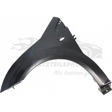 TŞT Citroen C2 2003-2008 Ön Çamurluk Sol (Oem No: 7840N3)