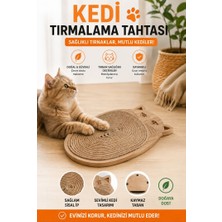 Eavrasya Kedi Tırmalama