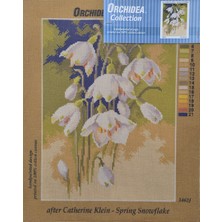 Orchidea Goblen 3462J 30X40