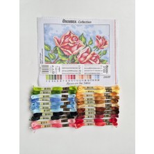 Orchidea Orchıdea 18X24 Goblen - Iplikli Set