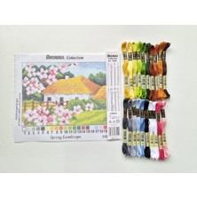 Orchidea Orchıdea 18X24 Goblen - Iplikli Set