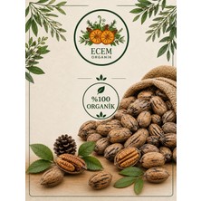Pikan Cevizi Üreticidenorganik1 kg Kabuklu