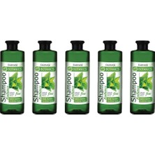 Farmasi Botanıcs Isırgan Özlü Parlaklık Veren Şampuan 500 ml 5 Adet Vegan Tüm Saçlar İçin