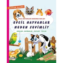 Teleskop Evcil Hayvanlar Neden Sevimli?