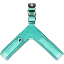 Die Grup Max & Molly Urban Pets Matrix 2.0 Akıllı Künyeli Q-Fit Köpek Göğüs Tasması - Küçük ve Orta Boy Irklar Için Konforlu ve Güvenli (Turkuaz, L)