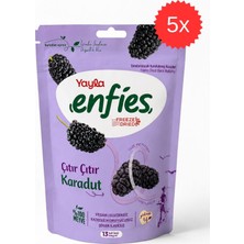 Yayla Freeze Dried Çıtır Çıtır Karadut 15 gr x 5 Adet