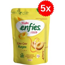 Yayla Freeze Dried Çıtır Çıtır Kayısı 20 gr x 5 Adet