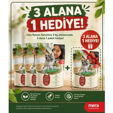 Mera  Cats Nature Insect 3 Alana1 Bedava