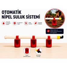 Nipel Suluk Sistemi 60CM 3 Kapalı Çanaklı
