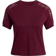 Adidas Kadın  Bordo  T-Shirt Lace Calı T KC6453
