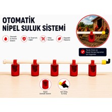 Nipel Suluk Sistemi 100CM 5 Kapalı Çanaklı
