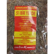 Beşi Bir yerde