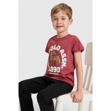 U.S. Polo Assn. Erkek Çocuk Vişne Bisiklet Yaka Tişört 50327000-VR223