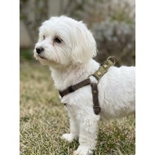 Balkonda Köpek Göğüs Tasması Ayarlanabilir Küçük & Orta Irk Kolon Kordon Koyu Yeşil