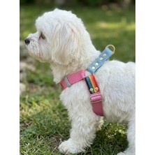 Balkonda Köpek Göğüs Tasması Orta Irk Ayarlamalı Kolon Kordon Pembe