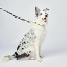 Wıld Safarı Collar (S)