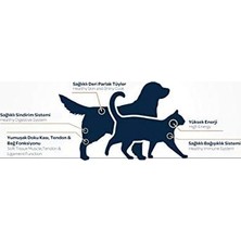 Obivan Premium Yetişkin Kedi Maması Somonlu 10 kg - Hipoalerjenik, Tüy Dökülmesini Azaltan, Kolay Sindirilen, Bağışıklık Güçlendirici, Yüksek Proteinli Mama