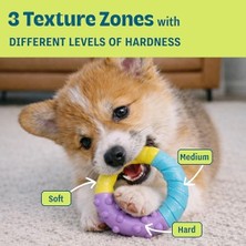 Petstages Küçük Köpekler ve Diş Çıkarma Yavruları Için Orka Diş Çiğneme Oyuncakları - 3'lü Paket