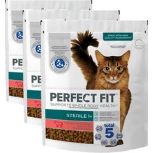 Perfect Fit Kısır Yetişkin Sığırlı Kuru Mama 750G (3 Paketi)