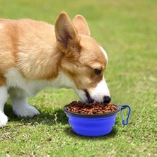 Katlanabilir Köpek Kaplkatlanabilir Köpek Kapları, 2 Adet Büyük Boy Portatif Kase, Seyahat ve Doğa Yürüyüşleri Için Pratik Çözüm, Karabinalı Kilit Sistemli
