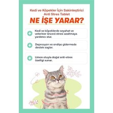 Calming+S Tablet (2 Paketi)