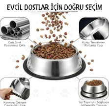 Köpekler Için Paslanmaz Çelik Mama ve Su Kabı (38 Cm) - Kaydırmaz Kauçuk Tabanlı - Koku Tutmaz - Yaş ve Kuru Mama Için Uygun - Bulaşık Makinesinde Yıkanabilir - 4250 ml Mama Kapasiteli