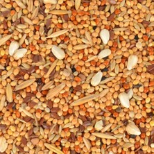 Quik Kızıştırıcı Muhabbet Kuşu Yemi 150 G