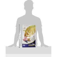 N&d Ancestral Grain Köpek Kuzu, Kılçıksız Buğday, Yulaf & Yabanmersini Yetişkin Mini 2.5 kg