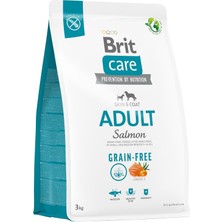 Brit Care Skin & Coat, Deri ve Tüy Hassasiyeti Olan, Yetişkin Köpekler Için, Tahılsız, Somon Balıklı Kuru Mama, 3 kg