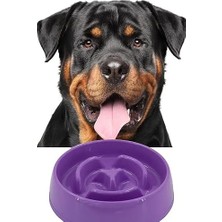 Evcil Hayvan Yavaş Mama Yeme Kabı Yavaş Besleyici Kedi Köpek Mama Kabı Orta Boy 375 ml 1450