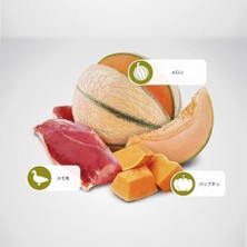N&d Pumpkın Tahılsız Kedi Ördek & Kavun 1.5 kg
