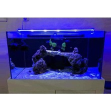 Orionled Akvaryum LED Aydınlatma Mavi 50CM