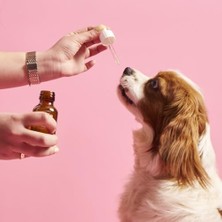 Kito Skin & Coat Köpekler Için Tüy Sağlığını Destekleyici Multivitamin
