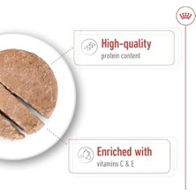 Canin Medium Adult Can Yetişkin Köpek Yaş Maması (410G x 12 Adet)