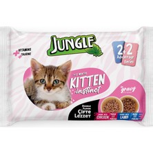 Jungle 4 x 100 gr Çift Lezzet Pouch Yavru Kedi Tavuk-Kuzu