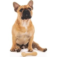 Greenbo Köpekler Için Oyuncak (S)