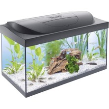 Starter 54 L Akvaryum Komple Set – Gündüz ve Gece Lambası LED Aydınlatma, Iç Filtre, Isıtıcı, Balık Yemi ve Su Hazırlama Cihazı Dahil