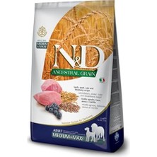 Elivora N&d Ancestral Grain Medium&maxi Az Tahıllı Kuzulu ve Yaban Mersinli Yetişkin Köpek Maması 12 kg