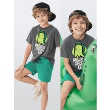 Denokids Erkek Çocuk Takım Dinozor Baskılı T-Shirt Havlu Şort Ikili Takım Yazlık 4-8 Yaş