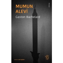 Defne Store Mumun Alevi