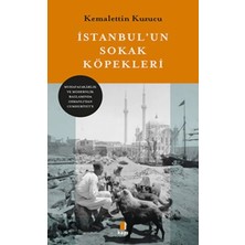 Defne Store Istanbul’un Sokak Köpekleri