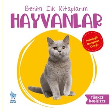 Defne Store Benim Ilk Kitaplarım Hayvanlar